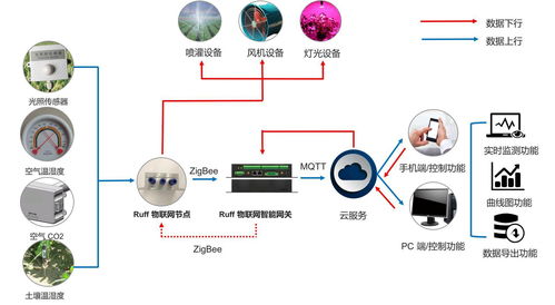 可视化农业软件开发